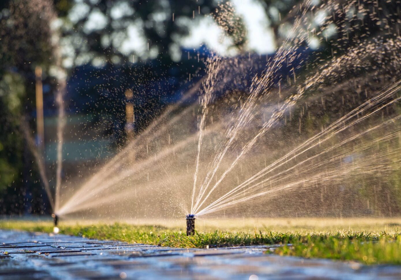 Lawn sprinklers spray water on grass and pavement in a sunlit garden, thanks to the expert care of Seattle Landscaping Services.