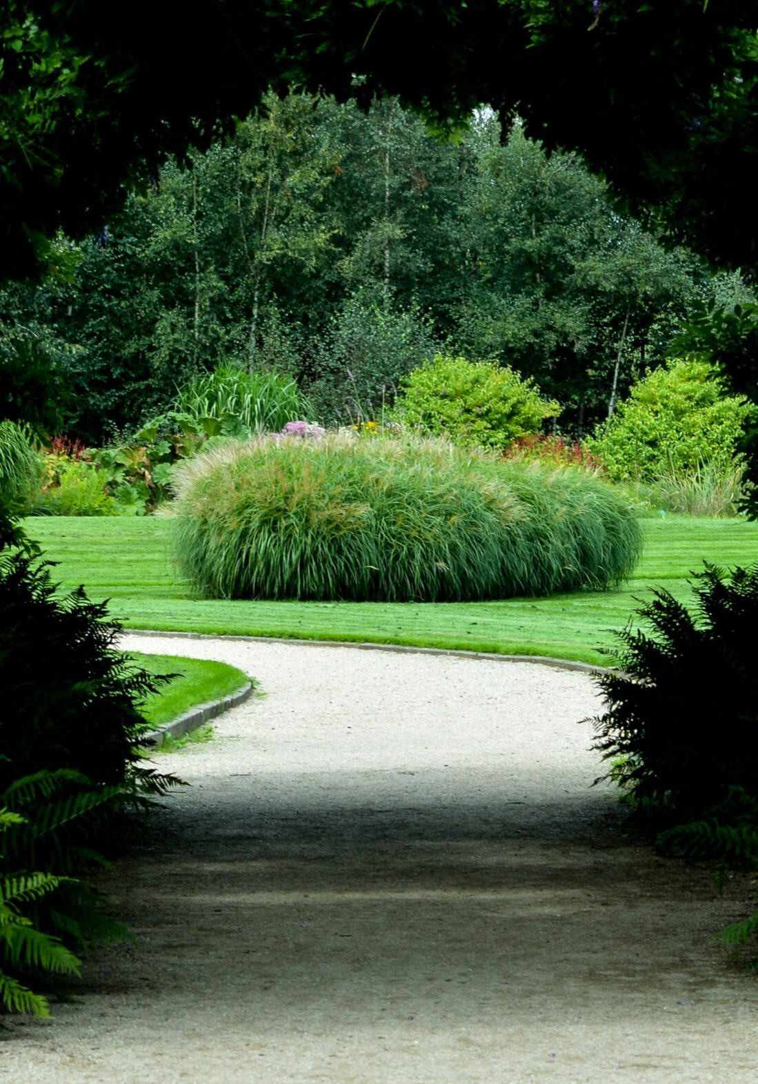 maria-hada-TBuXA-TNtLI-unsplash