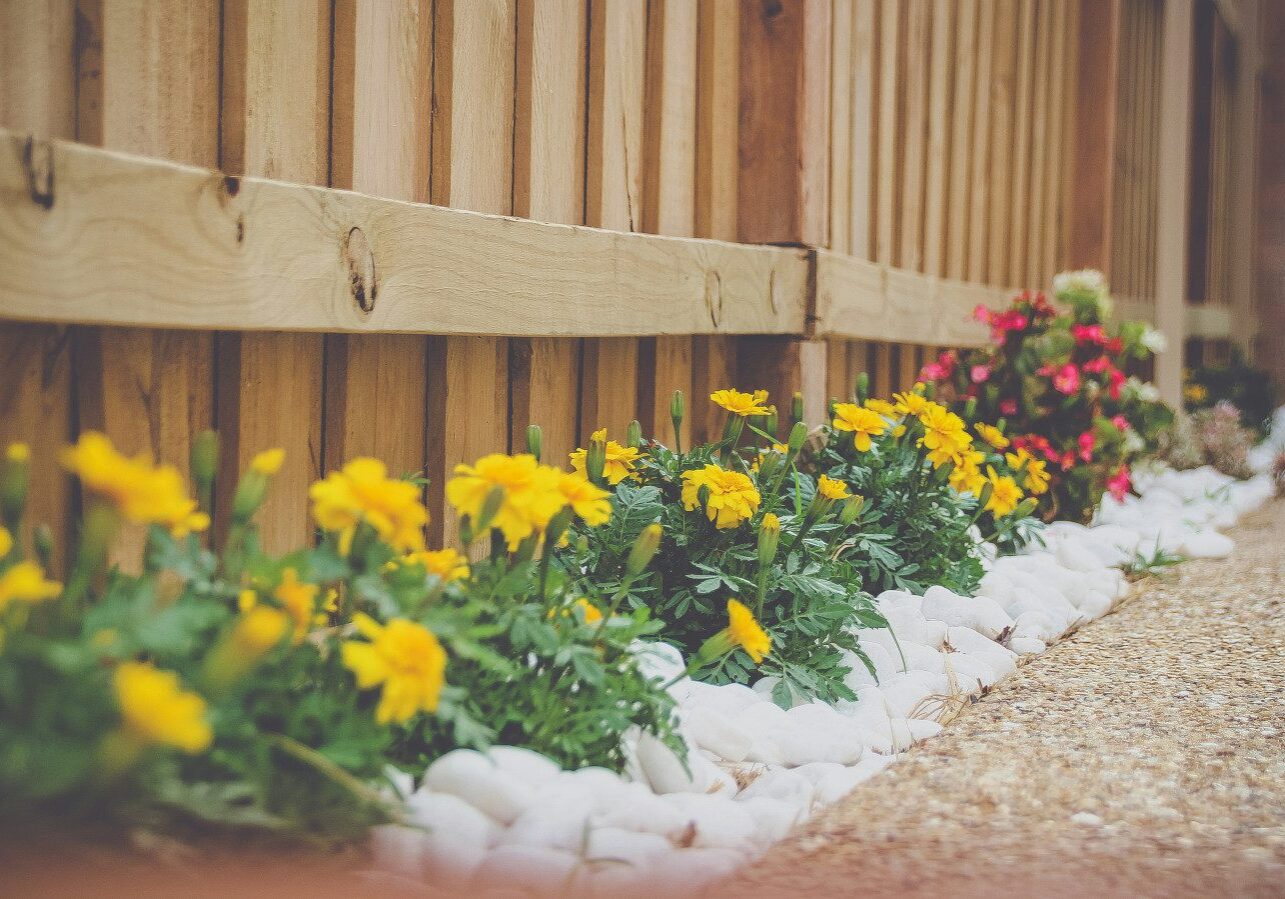 A wooden fence with a flower bed featuring yellow flowers and white rocks beside a gravel pathway.