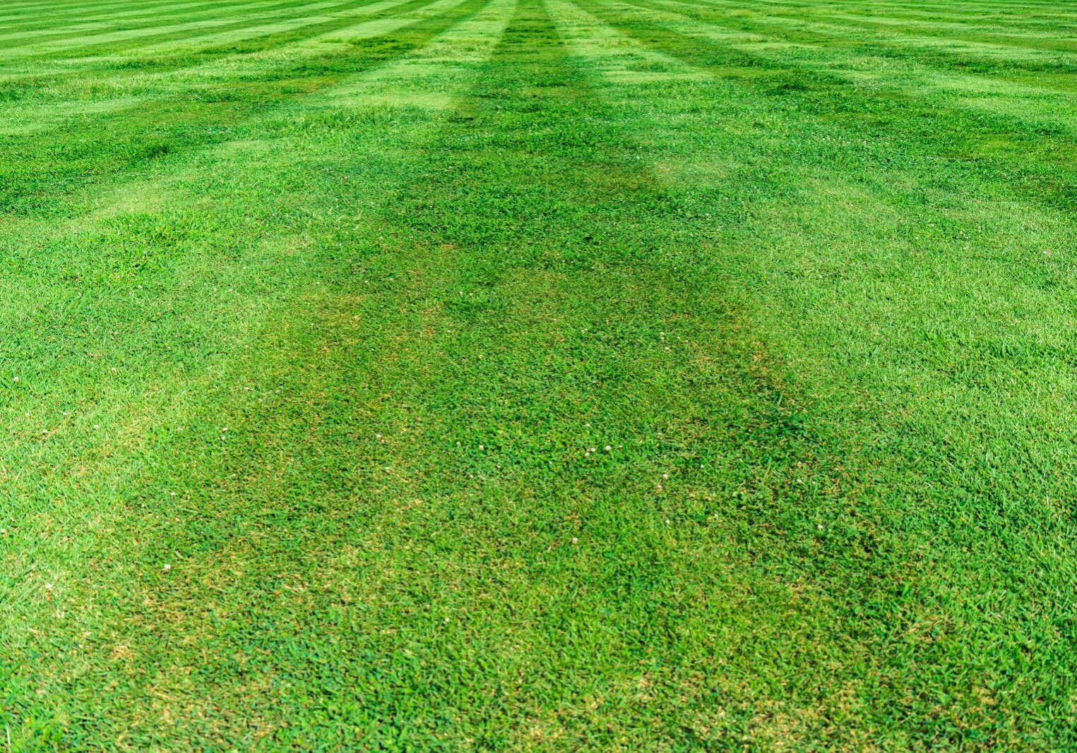 A well-maintained grassy field with distinct mowing lines stretching into the distance.